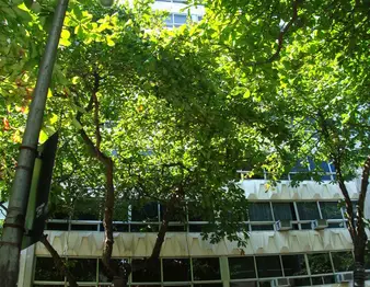 Fachada do Edificio Joao Marques dos Reis